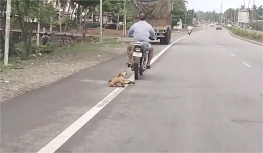 Man Booked for cruelly dragging pet dog tied to bike in road